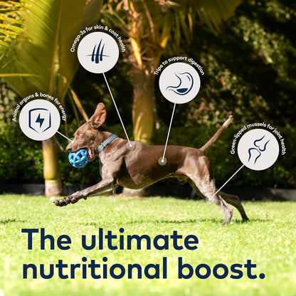 Peak Air-Dried Dog Food – Lamb - All Natural, High Protein, Grain Free, Limited Ingredient W/ Superfoods (35.2Oz)